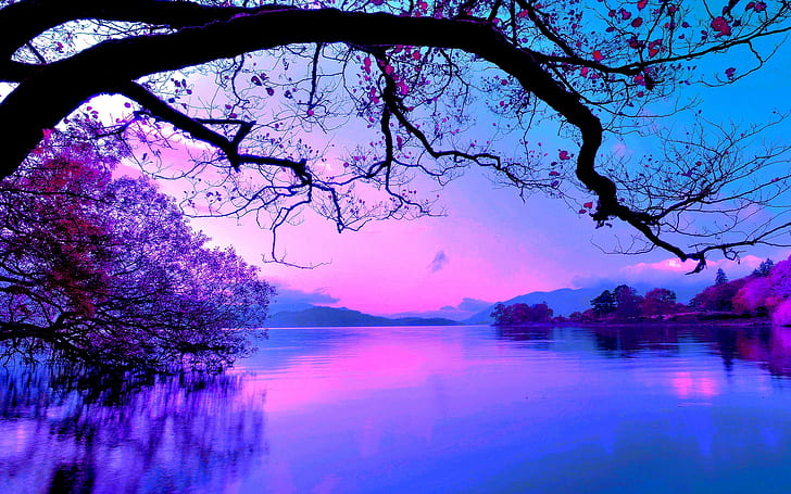 Images